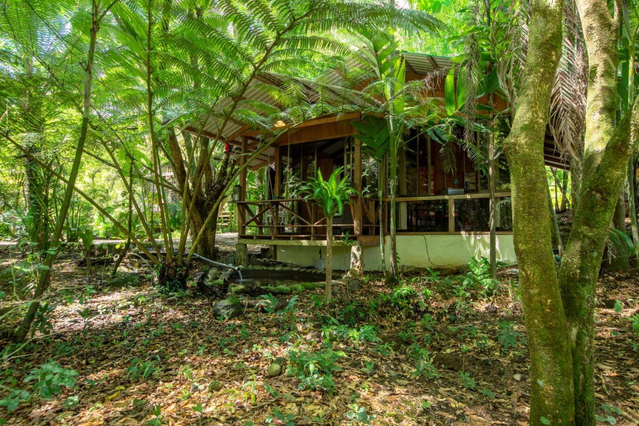 Cabanas Del Lago La Fortuna Extérieur photo