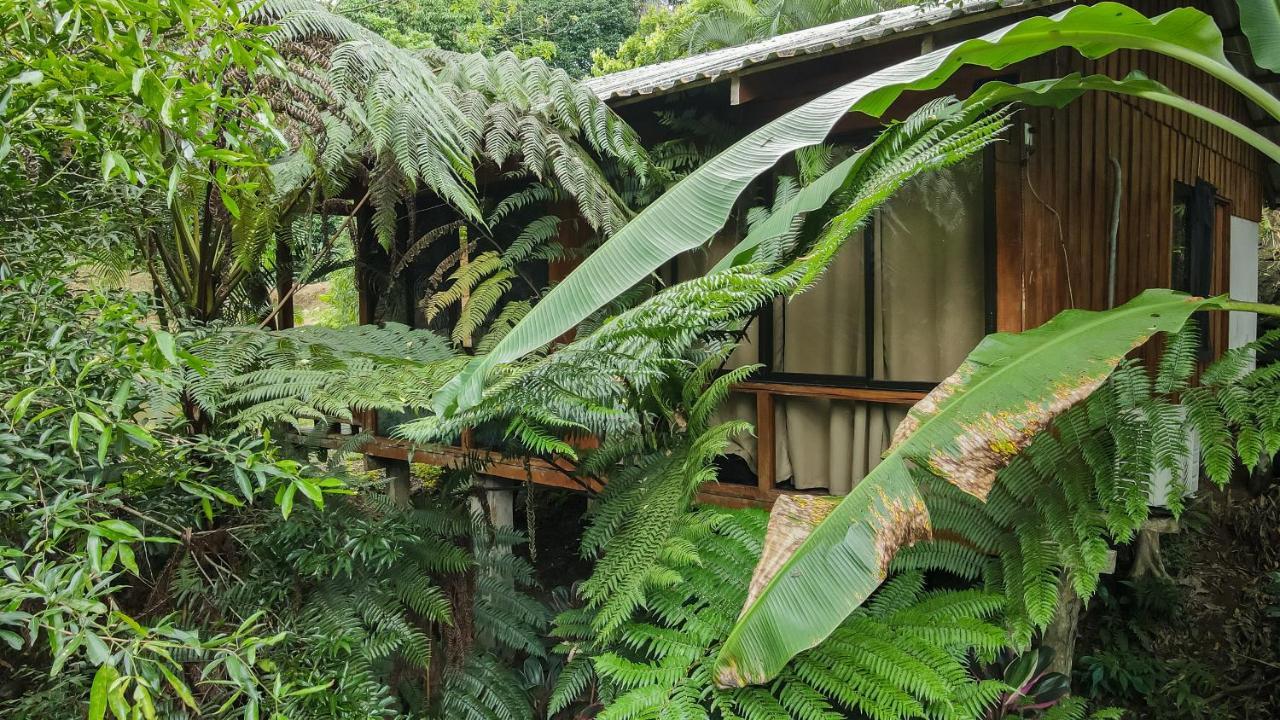 Cabanas Del Lago La Fortuna Extérieur photo