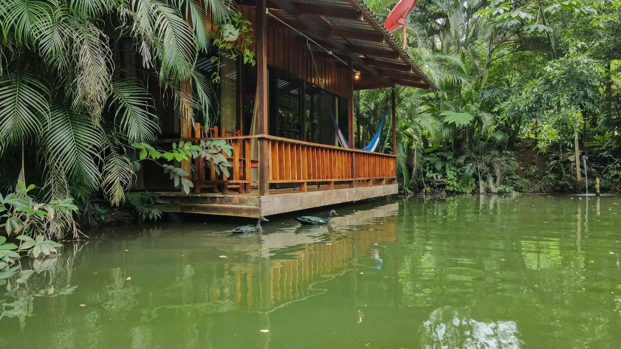 Cabanas Del Lago La Fortuna Extérieur photo