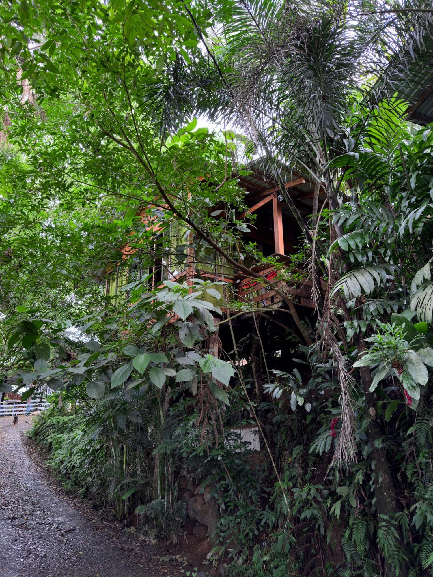 Cabanas Del Lago La Fortuna Extérieur photo
