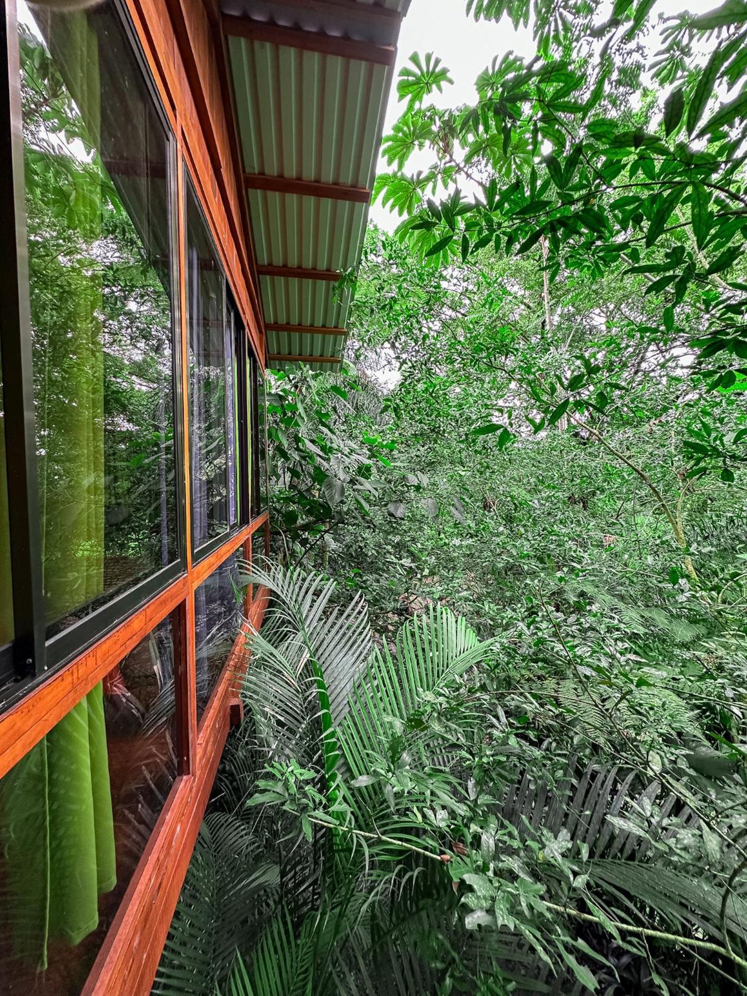 Cabanas Del Lago La Fortuna Extérieur photo