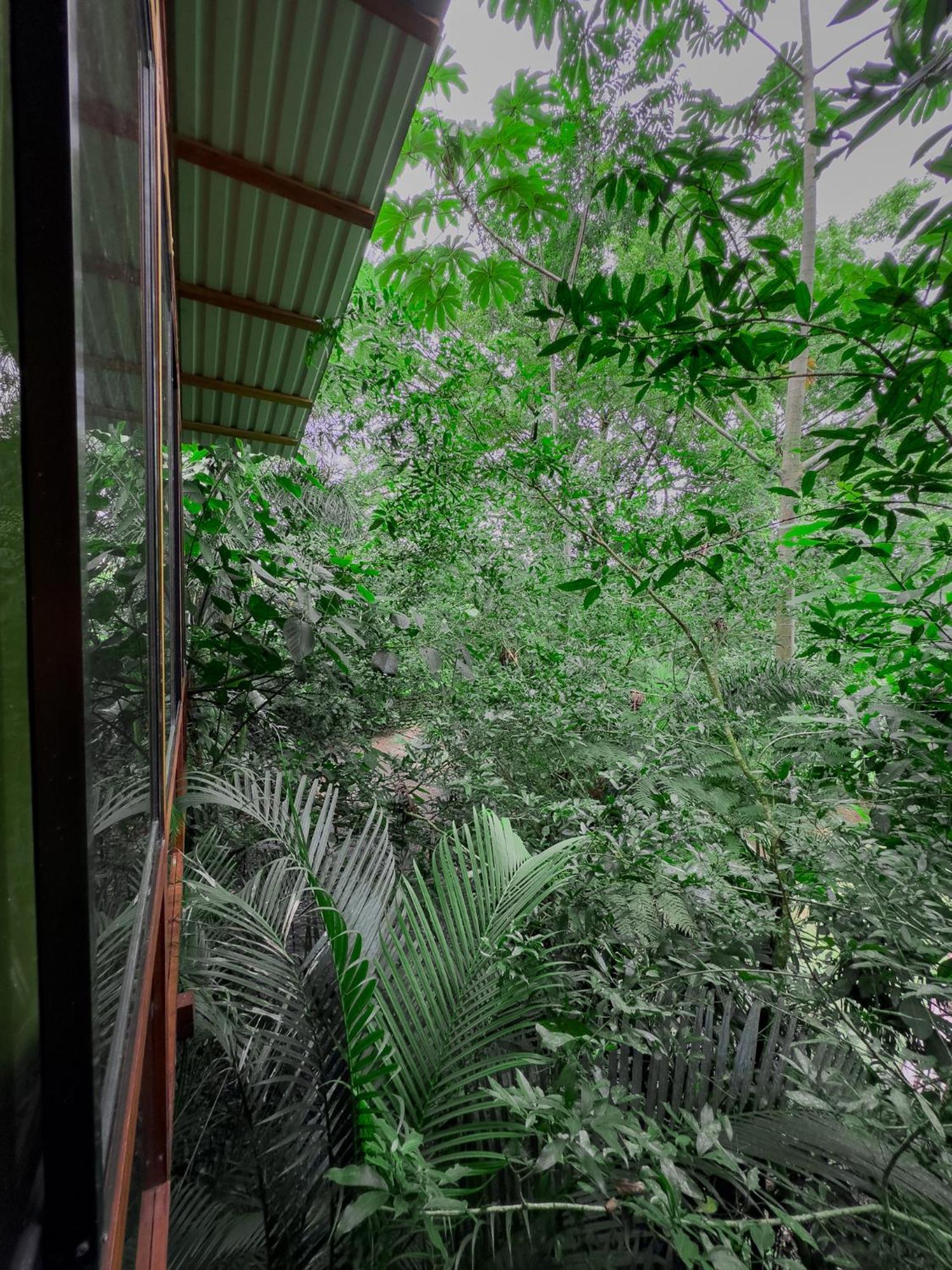 Cabanas Del Lago La Fortuna Extérieur photo
