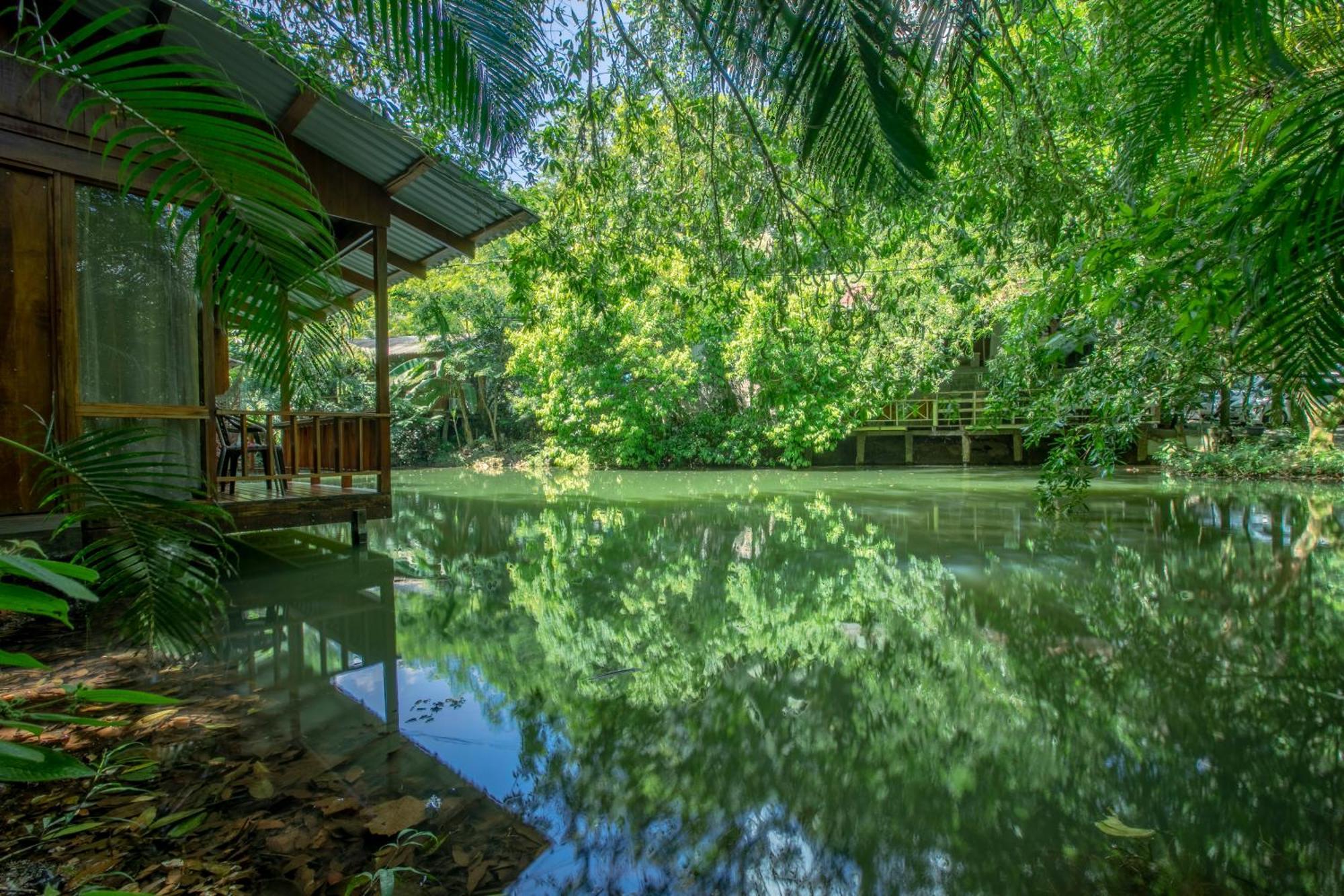 Cabanas Del Lago La Fortuna Extérieur photo