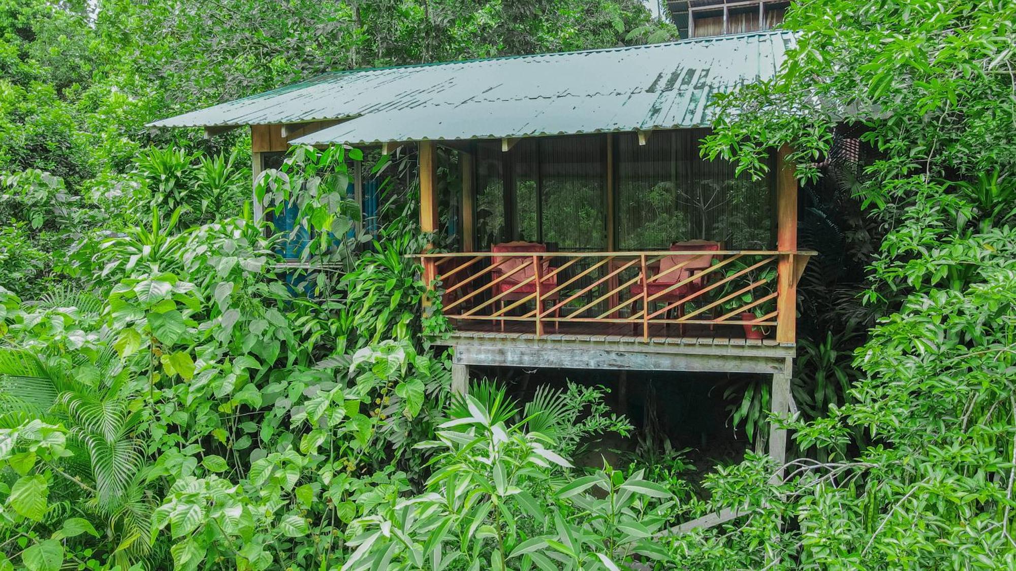 Cabanas Del Lago La Fortuna Extérieur photo